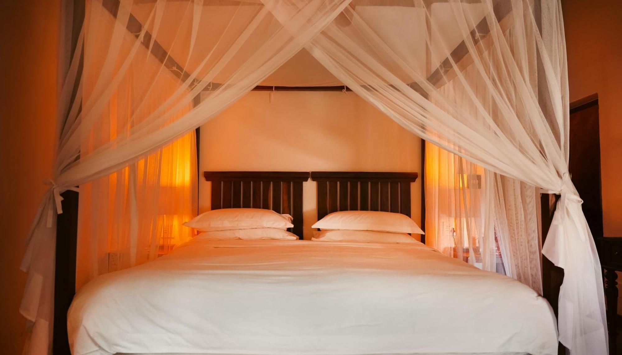 Shibula Safari Lodge 벨게본든 수렵 금지 구역 외부 사진